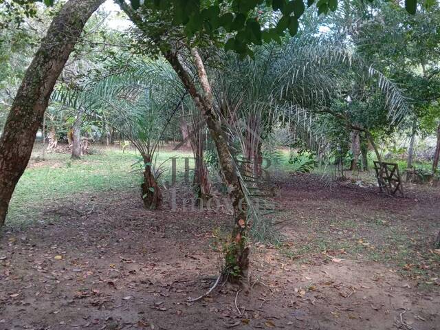 Área para Venda em Mata de São João - 5