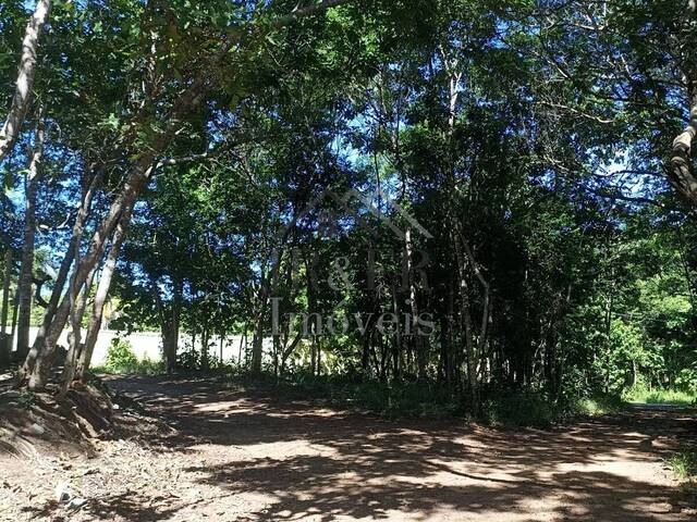 Área para Venda em Mata de São João - 4