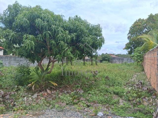 Área para Venda em Camaçari - 3