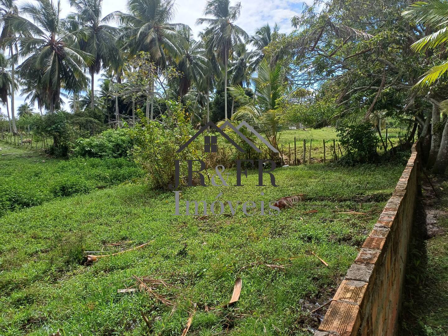 Casa à venda com 5 quartos, 355m² - Foto 39