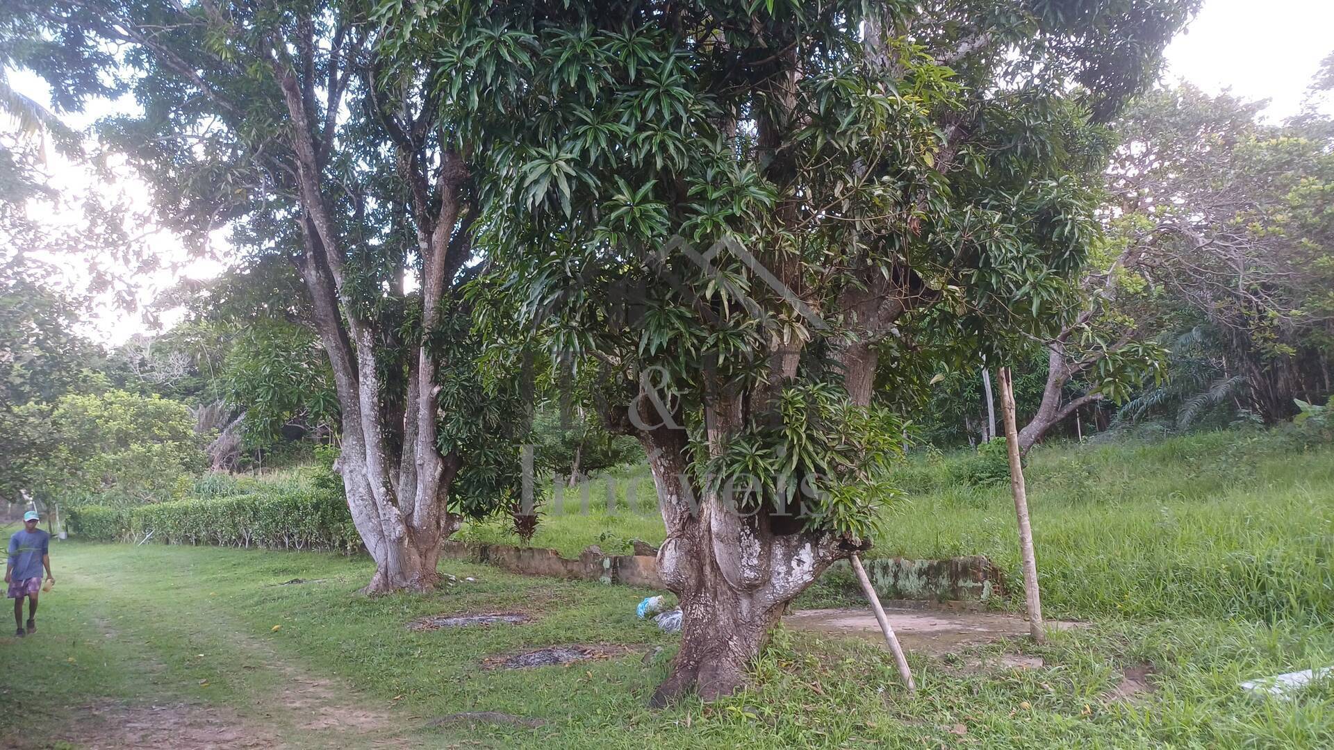 Sítio à venda com 4 quartos, 350m² - Foto 34