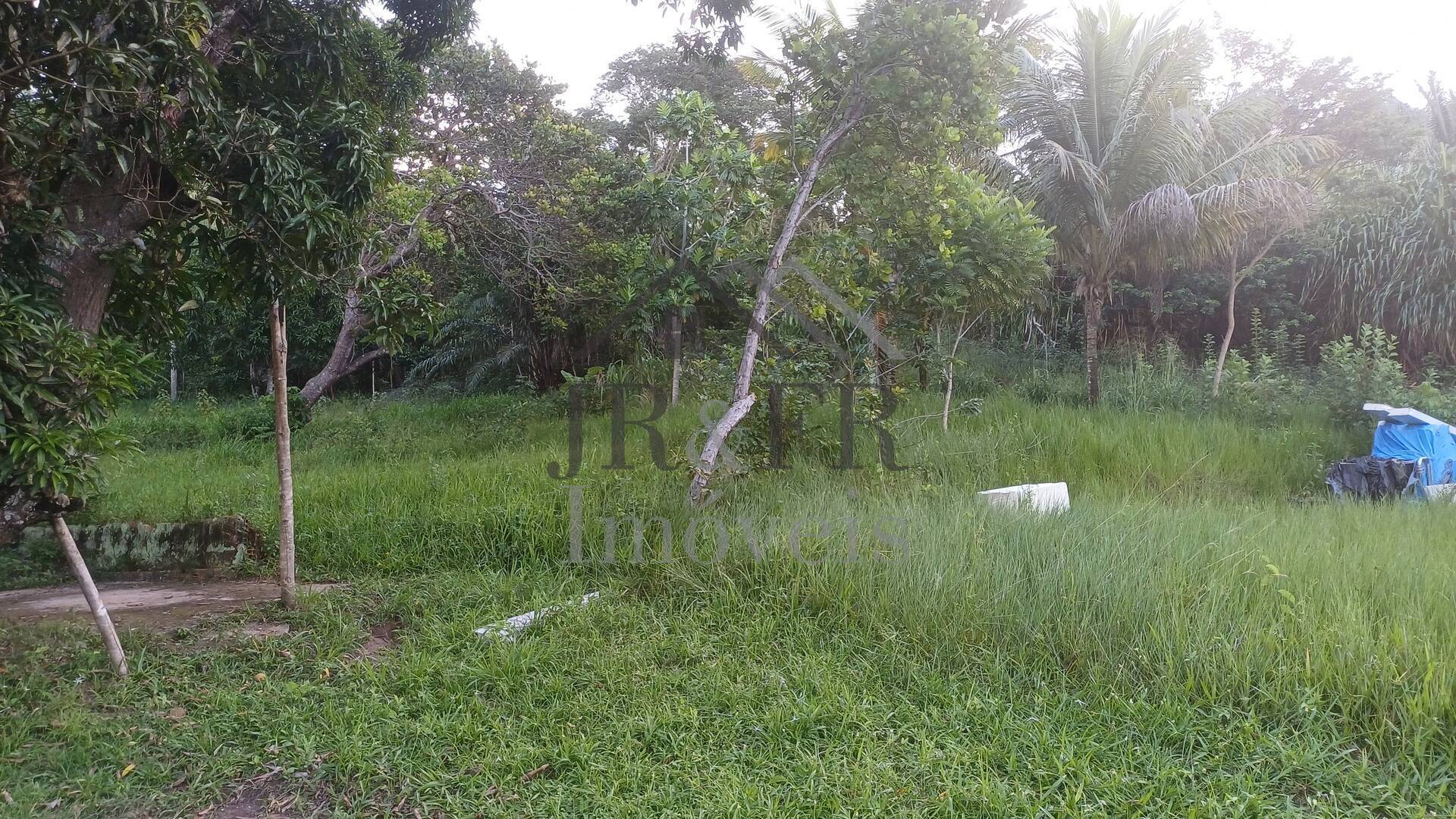 Sítio à venda com 4 quartos, 350m² - Foto 35