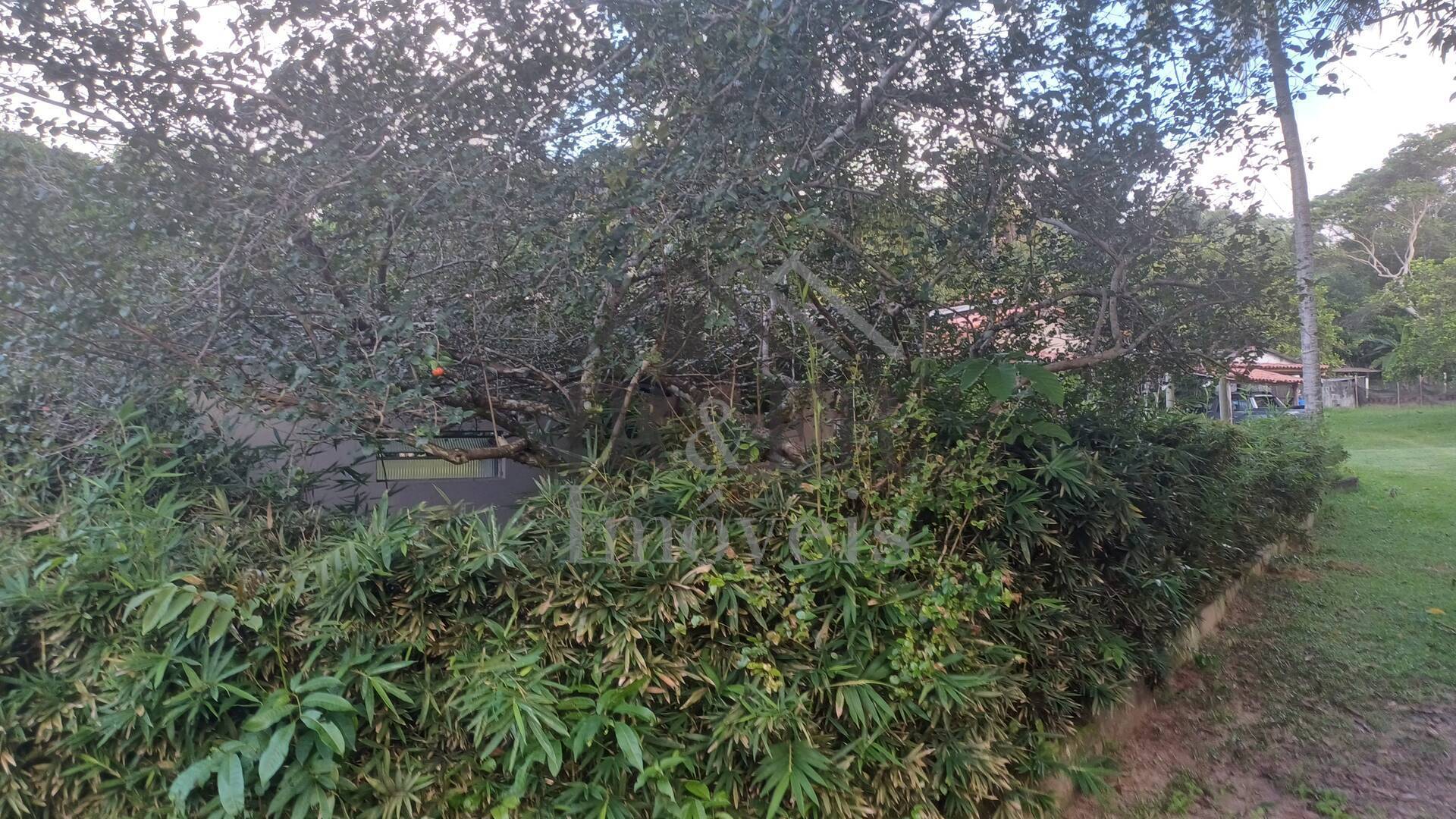 Sítio à venda com 4 quartos, 350m² - Foto 36