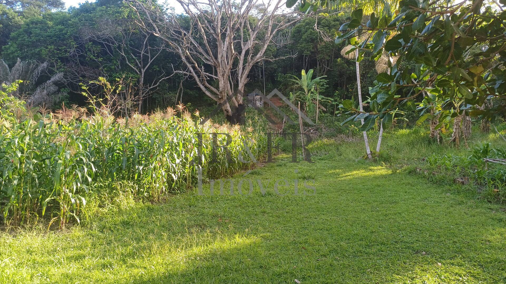 Sítio à venda com 4 quartos, 350m² - Foto 37