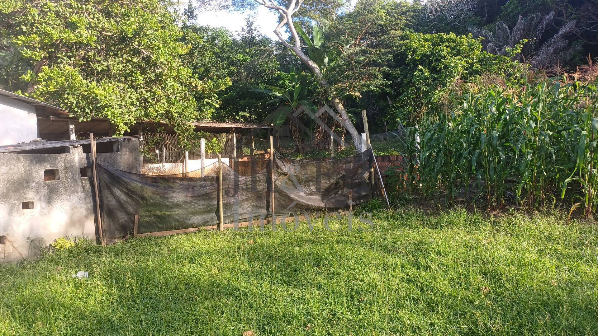 Sítio à venda com 4 quartos, 350m² - Foto 38