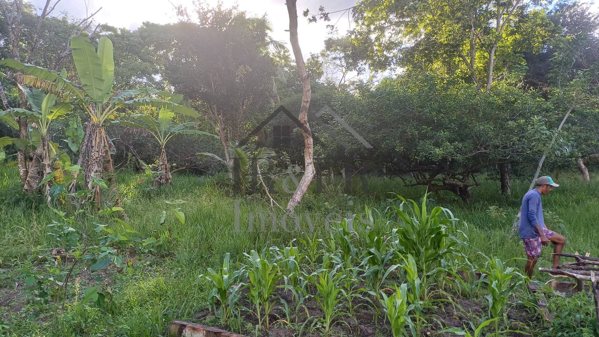 Sítio à venda com 4 quartos, 350m² - Foto 40