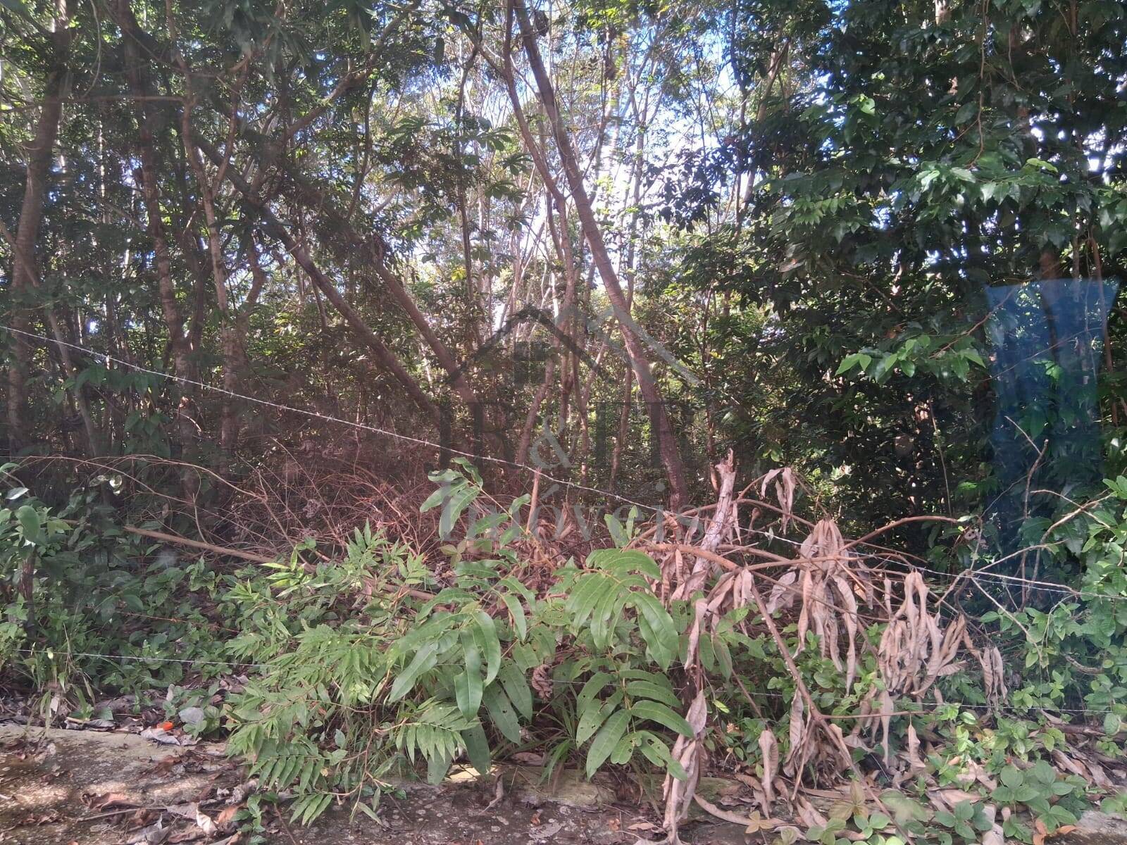 Terreno, 813 m² - Foto 8