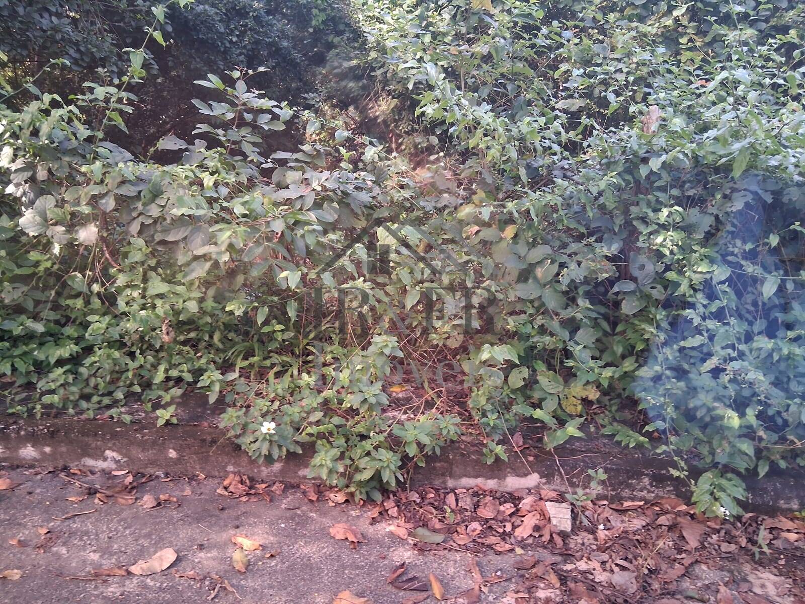 Terreno, 813 m² - Foto 9